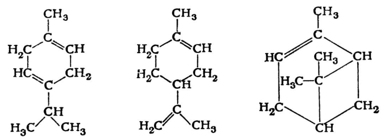 Terpene formula Zenidol krēmā